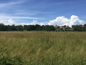 image of empty field